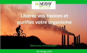 Infrathérapie : Une solution naturelle pour détoxifier et purifier son organisme